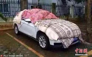 北京车主齐心协力，冰雹来袭时棉被纸箱齐上阵