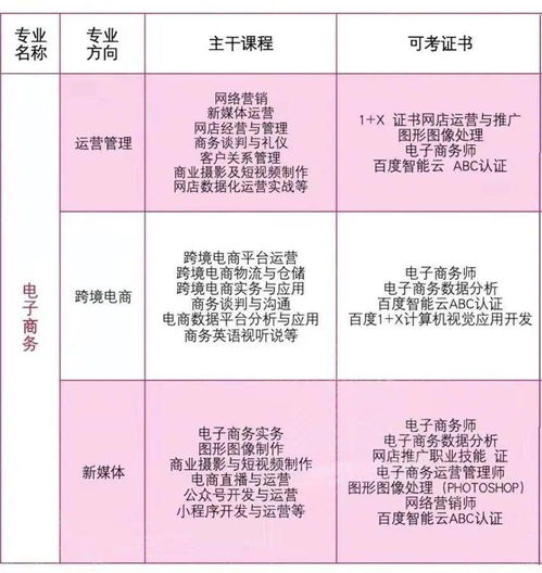 电子商务本专业就业取向