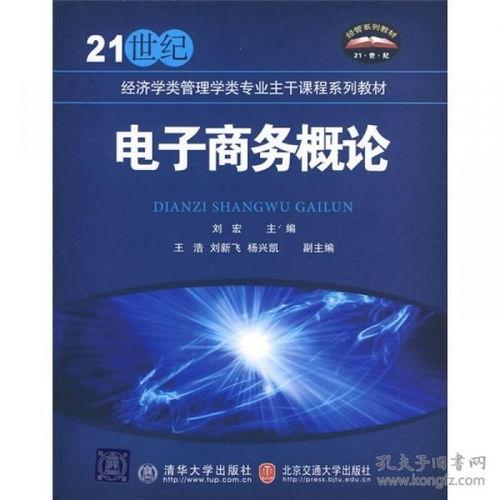 经济学电子商务专业论文