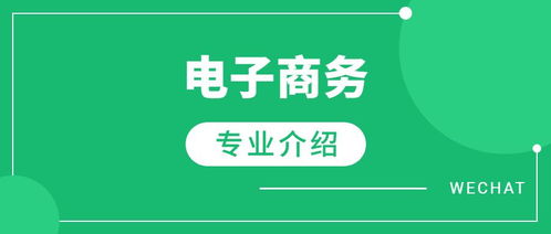 互联网电子商务类专业