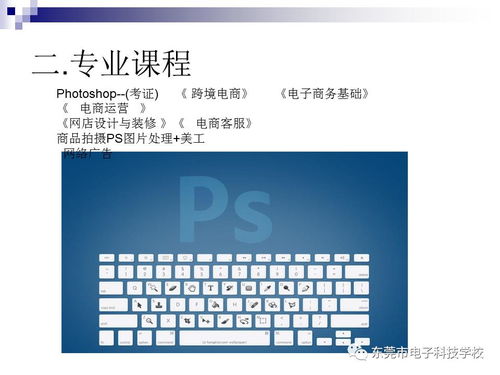 计算机电子商务专业描述