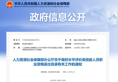 专业技能证书电子商务师